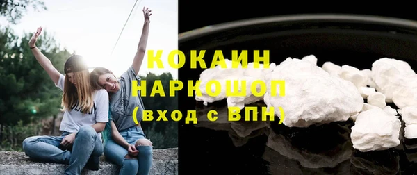 гашик Бронницы