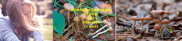 марки nbome Бугульма