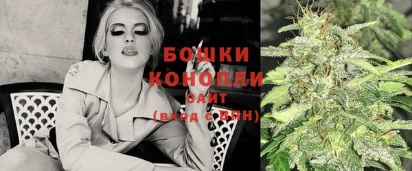 соль ск Бородино