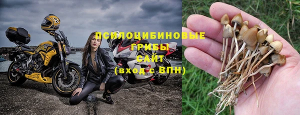 гашик Бронницы