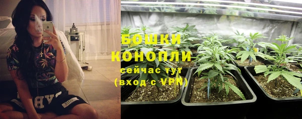 гашик Бронницы
