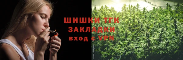 соль ск Бородино