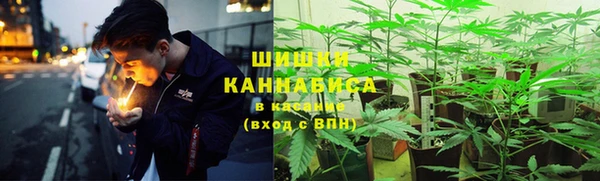 гашик Бронницы