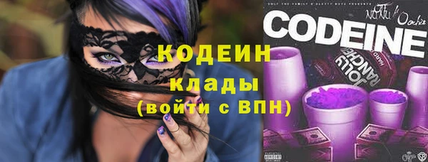 соль ск Бородино