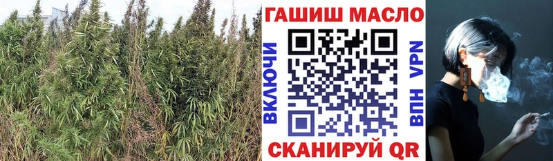 наркошоп Ноябрьск ТГК Wax